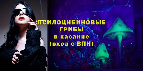 первитин Богданович