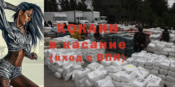 первитин Богданович