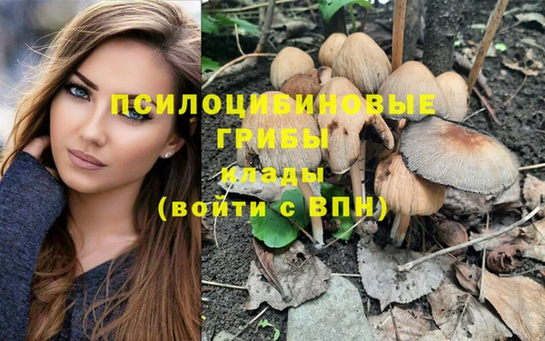 первитин Богданович