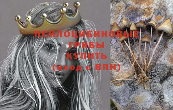 первитин Богданович