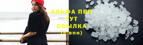 2c-b Богородицк