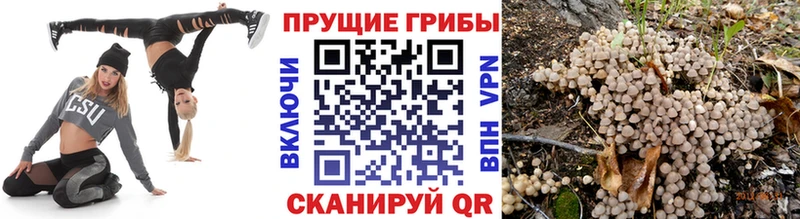 Галлюциногенные грибы ЛСД  KRAKEN ССЫЛКА  Кирово-Чепецк 